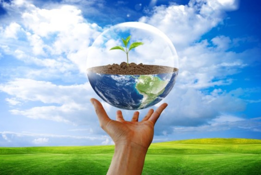 Вебинар "Выбери БИОМ"