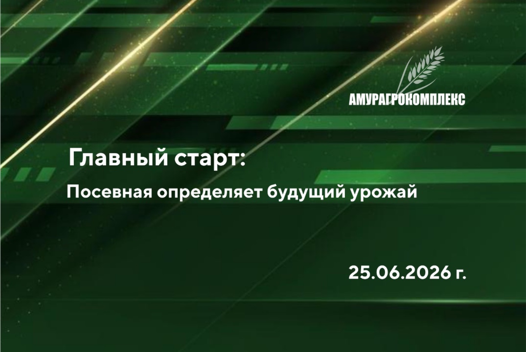 Главный старт: посевная определяет будущий урожай