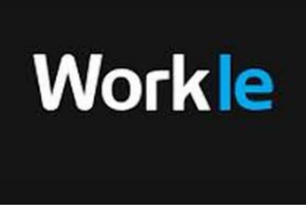 Гибкая занятость для студентов: презентация платформы Wor...