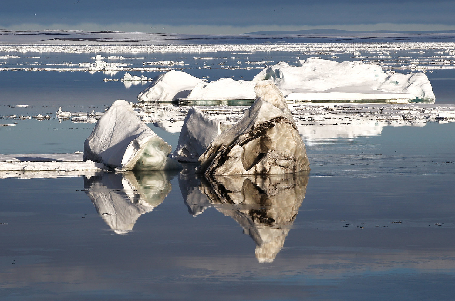 Конкурс научно-исследовательских проектов ВОЗМОЖНОСТИ РАЗ...