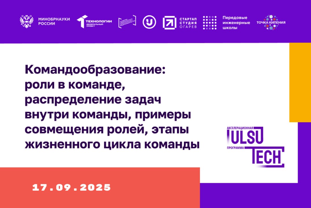 Командообразование: роли в команде, распределение задач в...