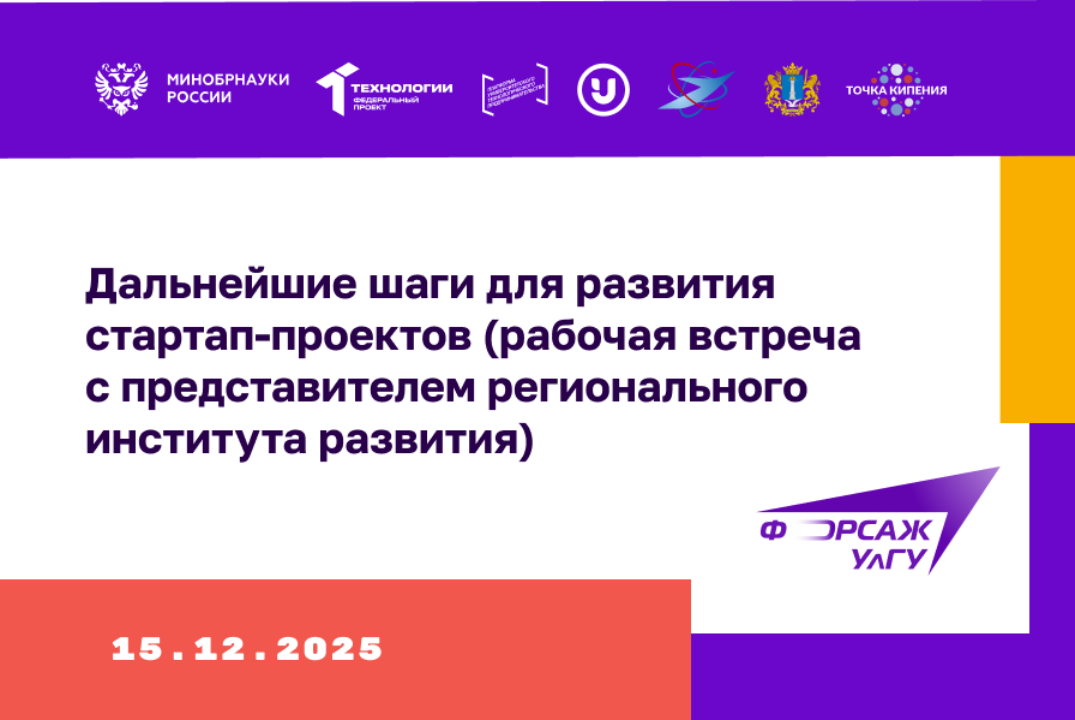 Дальнейшие шаги для развития стартап-проектов (рабочая встреча с представителем регионального института развития)