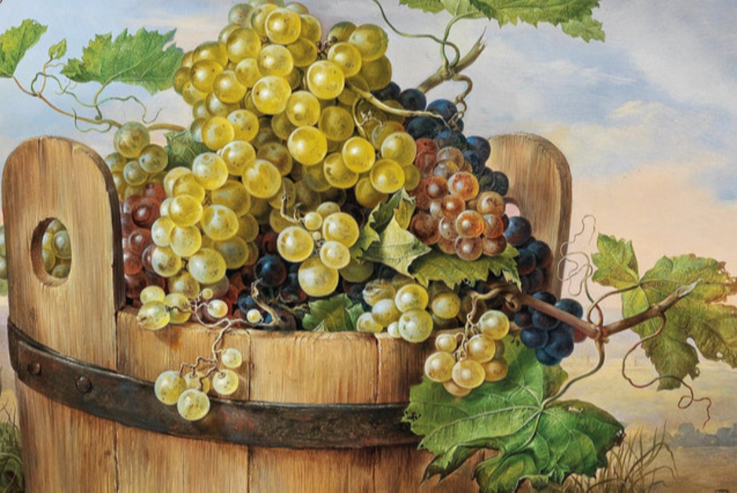 Международный нетворкинг «Winery managment «Lending persp...