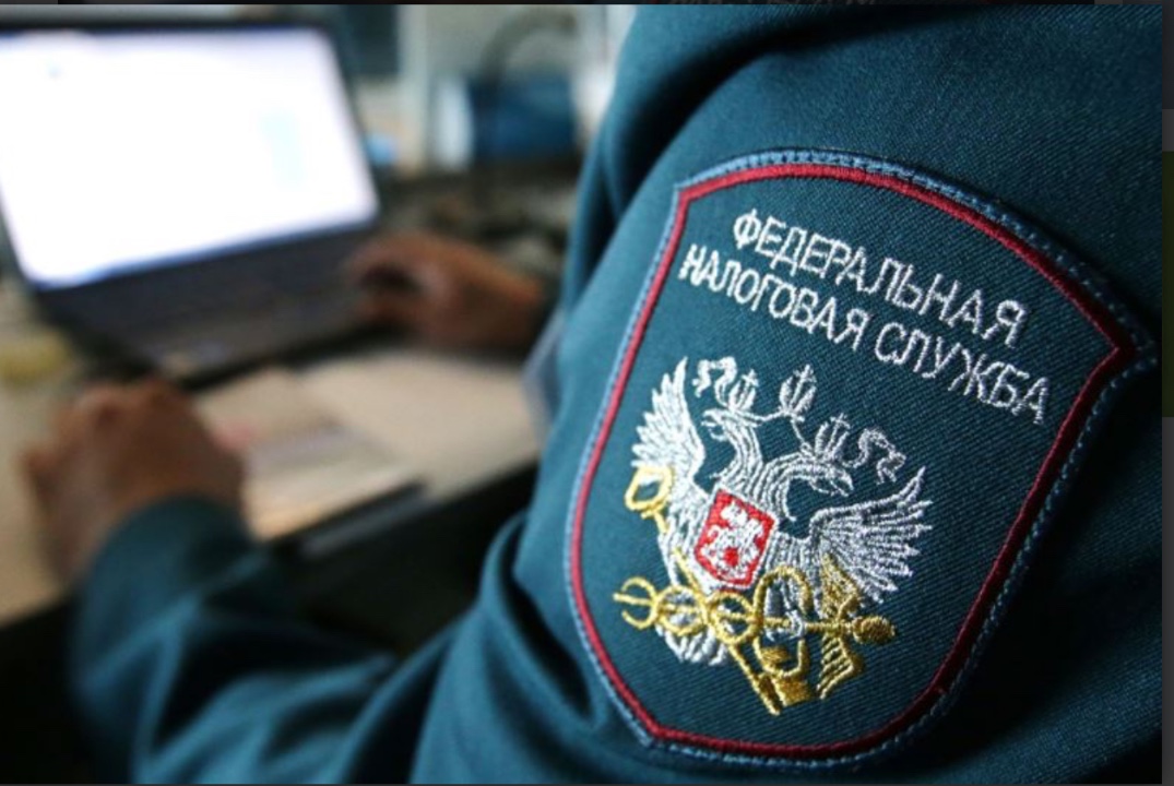 Мой выбор - профессия налоговый инспектор