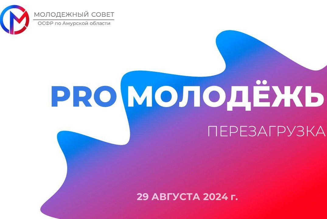 Мероприятие для участников Молодежного совета ОСФР по Аму...
