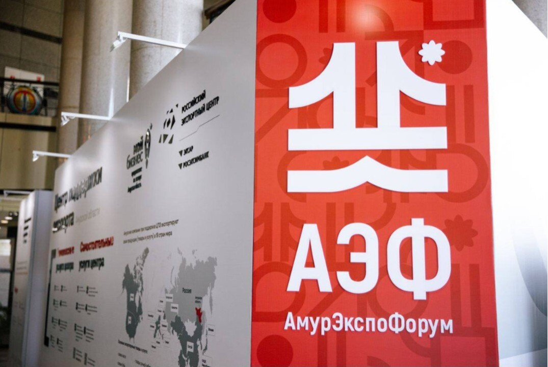 Собрание с волонтёрами АЭФ