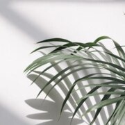 Федотова Анастасия Гаврильевна