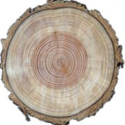 Кудымова Дарья Кудымова Дарья