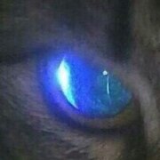 Сокол Виталий