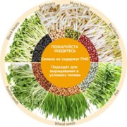 Погожева Анна Александровна