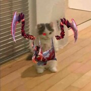 Самойленко Дмитрий Викторович