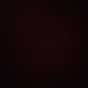 Агутина Ксения Сергеевна