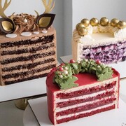 Lisenko Julia Александрровна Lisenko Julia Александрровна