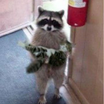 Кадиев Магомед Батыраевич