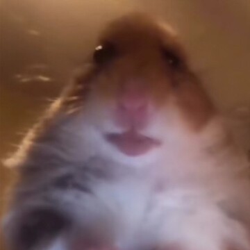 Жиляева Ольга Олеговна