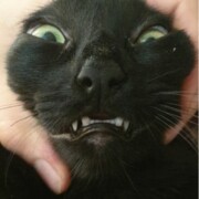 Раджабов Руслан Ярахамедгажиевич