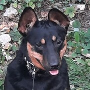 Иванова Ева Алексеевна Иванова Ева Алексеевна