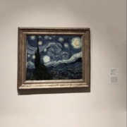 Сабанчиева Алина Мухамедовна Сабанчиева Алина Мухамедовна