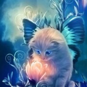 Фадеева Юлия Сергеевна Фадеева Юлия Сергеевна