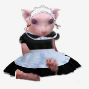 Коновалов Алексей Сергеевич