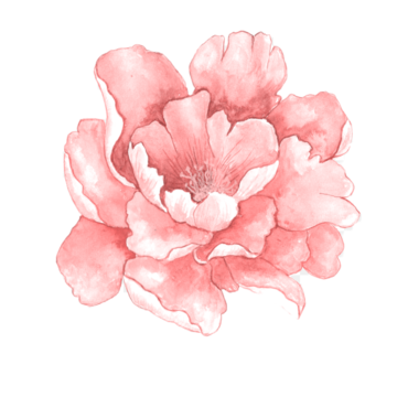 Акаева Фатима Ратмировна