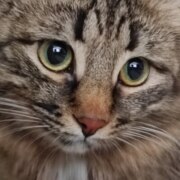 Арбузов Максим Александрович