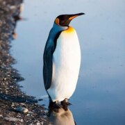 Морочко Егор