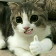 Миронов Никита Игоревич