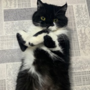 Щербинин Леонид Сергеевич Щербинин Леонид Сергеевич