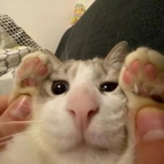 Мудаева Хава Арбиевна