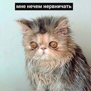 Федорова Екатерина Дмитриевна