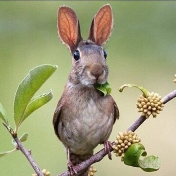 Рощин Данил Игоревич Рощин Данил Игоревич