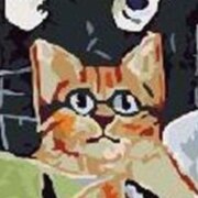 Касумов Эмин Элханович