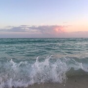 Тяпкаева Алина Ринатовна