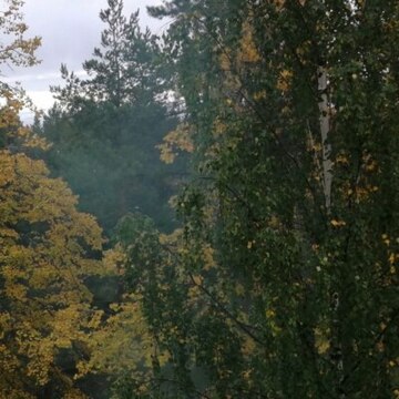 Громыко Анастасия Алексеевна Громыко Анастасия Алексеевна