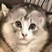 Приходько Олег Дмитриевич