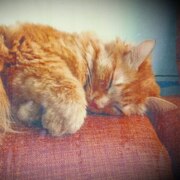 Груздев Александр Сергеевич