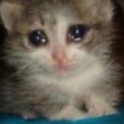 Чираев Хасанбек Русланович