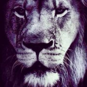 Лапин Владимир Николаевич