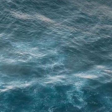 Джамбулаева Пари Давудгазиевна