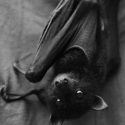 Панина Марина Сергеевна Панина Марина Сергеевна