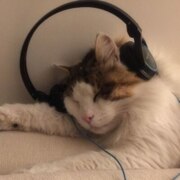 Alikaeva Alisa Alikaeva Alisa