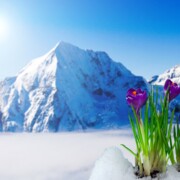 Элита Абдулаева