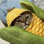 Комышева Елизавета Комышева Елизавета