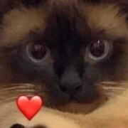 Екимова Юлия Алексеевна