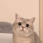 Халезова Екатерина Алексеевна