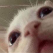 Кимаева Софья Олеговна