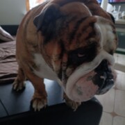 Пилипейко Александр