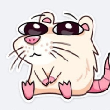 Подколзин Арсений Владимирович