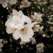 Иванова Анастасия